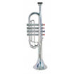 Picture of TRUMPET SILVER